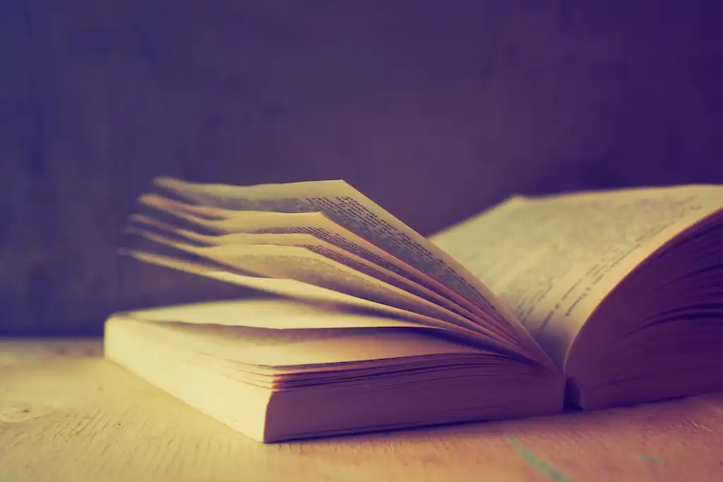 Historia y cultura